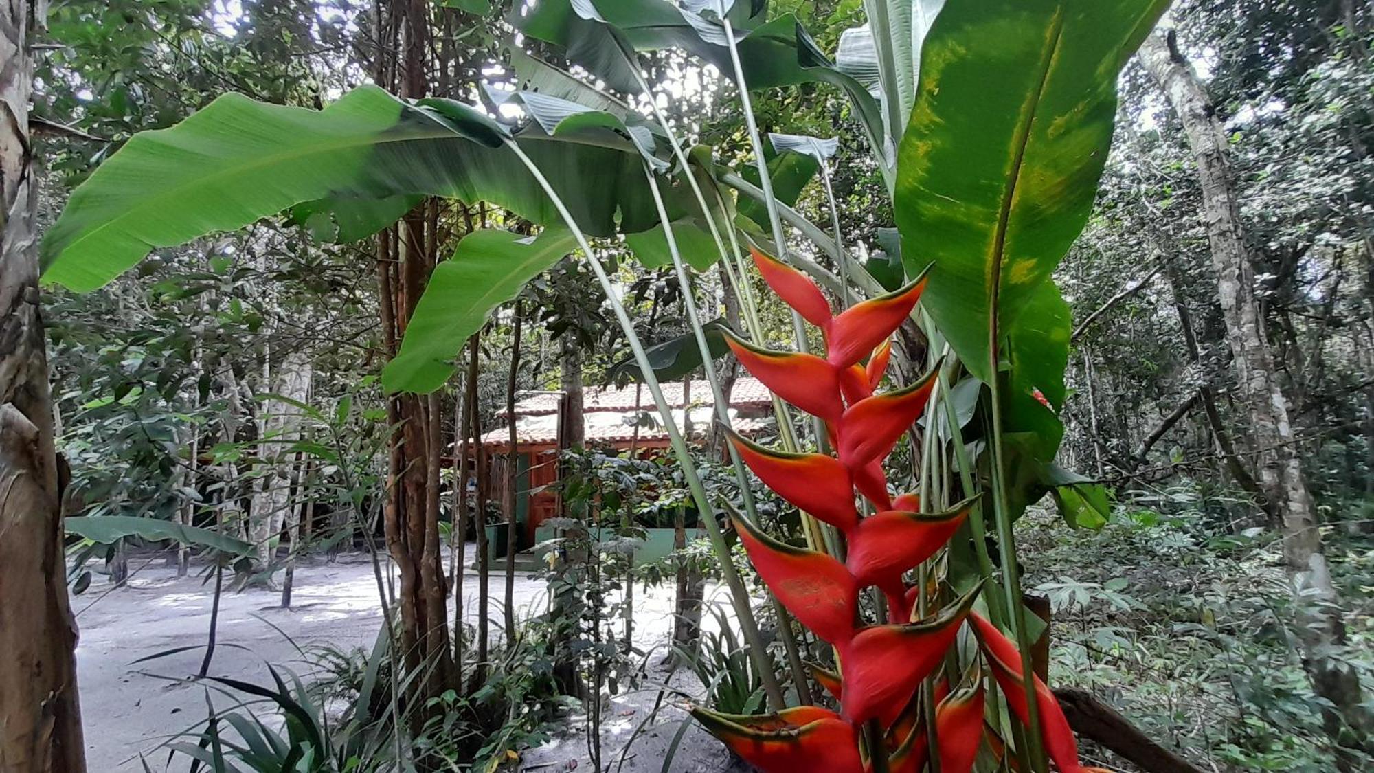 Chalés Guigó-Cumuruxatiba Exterior foto